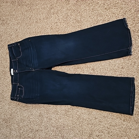 Lane Bryant jeans - Picture 1 of 2
